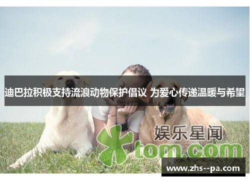 迪巴拉积极支持流浪动物保护倡议 为爱心传递温暖与希望