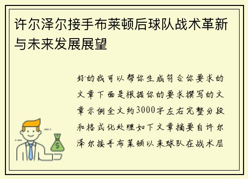 许尔泽尔接手布莱顿后球队战术革新与未来发展展望 许尔泽尔接手布莱顿后球队战术革新与未来发展展望
